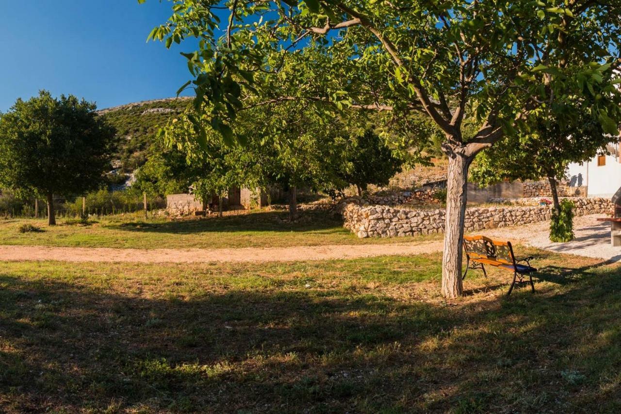 Kuca Za Odmor Lucija Διαμέρισμα Vrana  Εξωτερικό φωτογραφία